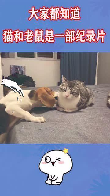 吃瓜隔壁包厢,揭秘神秘事件背后的真相