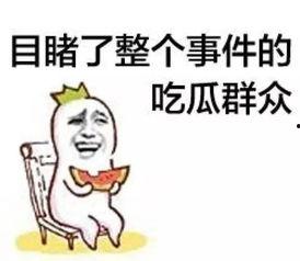 吃瓜群众4598,一场全民参与的舆论风暴