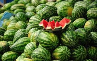 滨州吃瓜网红事件真相,揭秘背后真相与网络舆论的反思