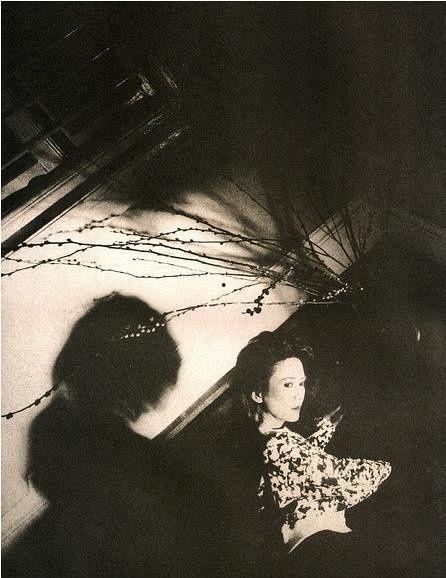 deanie叶德娴明星,光影岁月中的璀璨明星