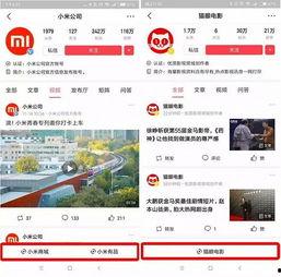 深圳头条卖货平台,打造一站式购物新平台，尽享品质生活！