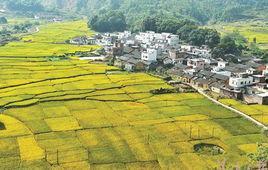 湘潭县红网石潭镇,红色足迹下的古镇新韵