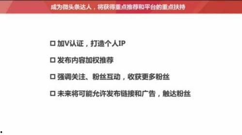 头条评论最多可写多少字,最多可写多少字，揭秘热门话题背后的评论奥秘