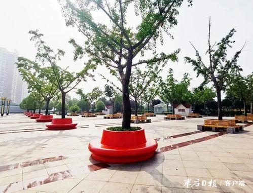 东湖公园椅子吃瓜,夏日吃瓜时光