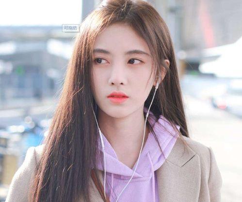 姓的明星丁,丁当、丁海峰的璀璨星途