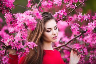 微头条拍什么花好看,微头条推荐拍摄的花卉精选