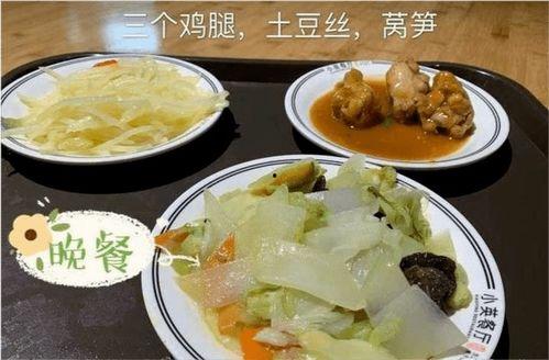 学生党吃瓜视频,揭秘校园热点事件背后的真相