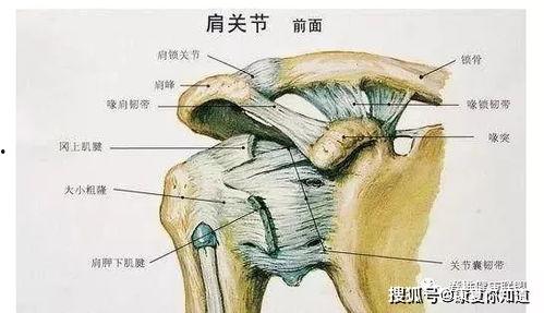网红黏性手掌怎么做,独特魅力背后的制作秘诀