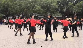 头条号视频创作者排名,揭秘热门创作者背后的故事