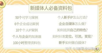 头条专栏没有阅读量了,揭秘原因与应对策略