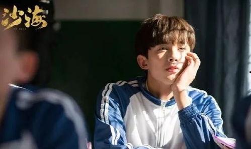 黎簇明星,星光璀璨的青春偶像