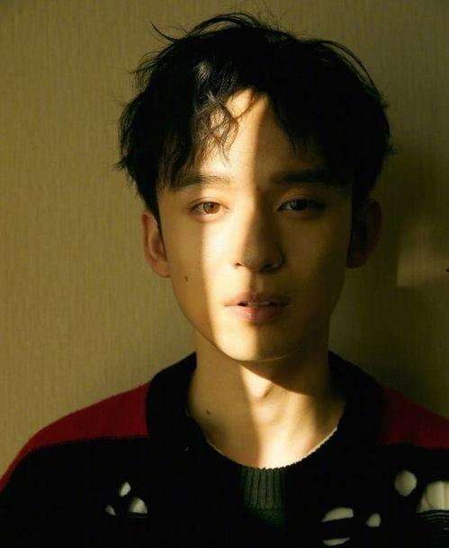 明星董子健相片,光影中的青春魅力