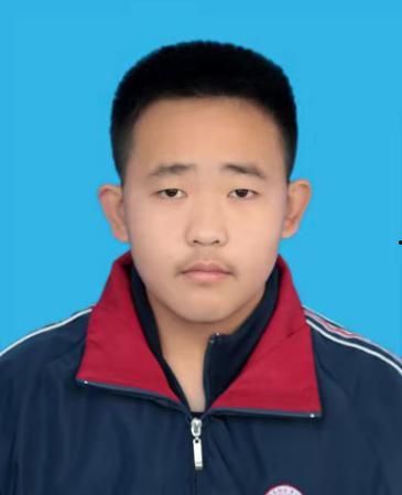 明星林飞宇,星光璀璨的演艺之路